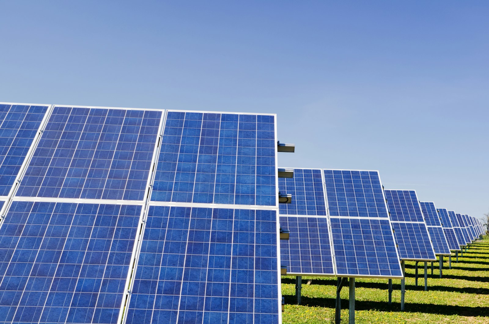 Rows of solar panels under a clear sky