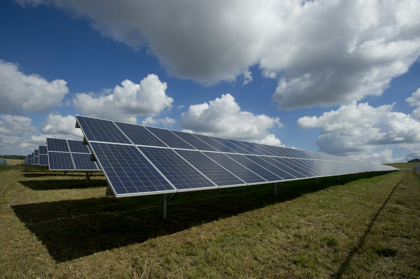 Ground-mounted solar plant in a green field